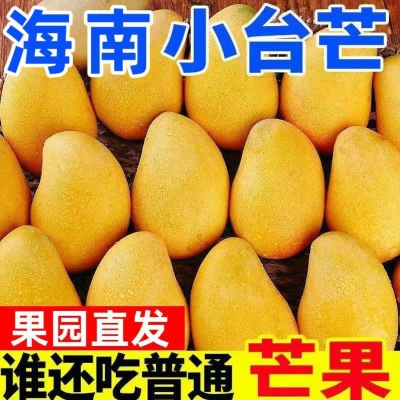 芒果贵妃.金黄.大青芒.台农大量上市对接各大平台一件代发