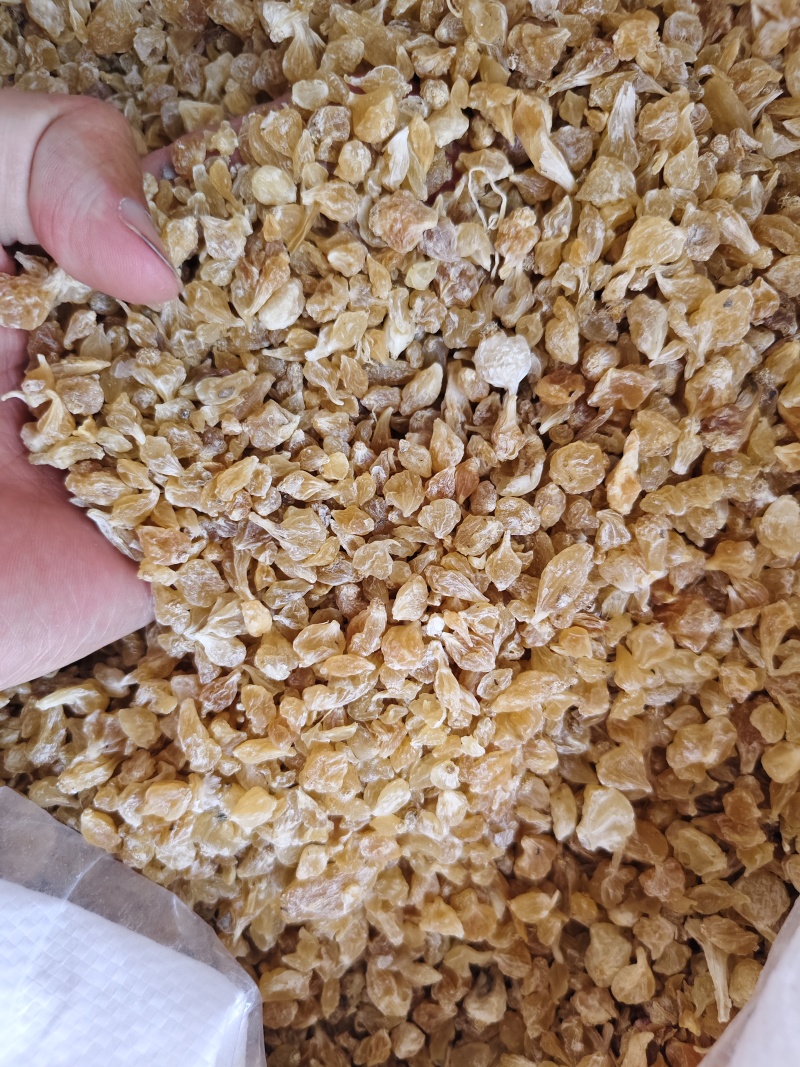 薤白中药材薤白新鲜薤白头干货正品薤白批发零售