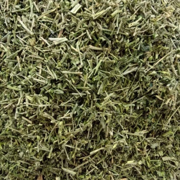 透骨草珍珠透骨草中药材批发透骨草质量保证量大从优