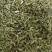 透骨草珍珠透骨草中药材批发透骨草质量保证量大从优