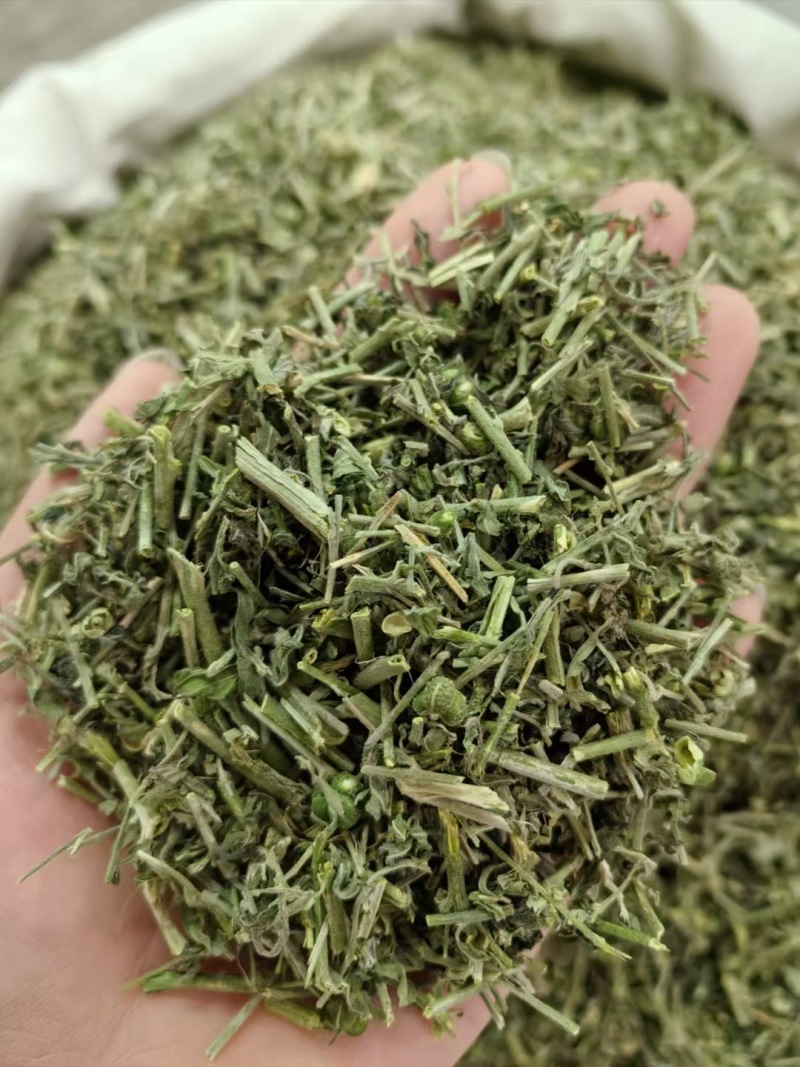 透骨草珍珠透骨草中药材批发透骨草质量保证量大从优