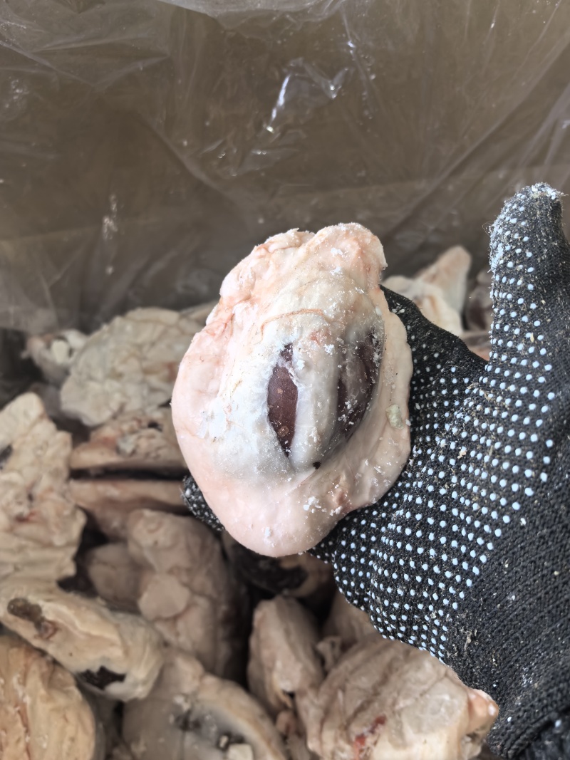 原油羊腰子，品质稳定，烧烤佳品！常年稳定供应