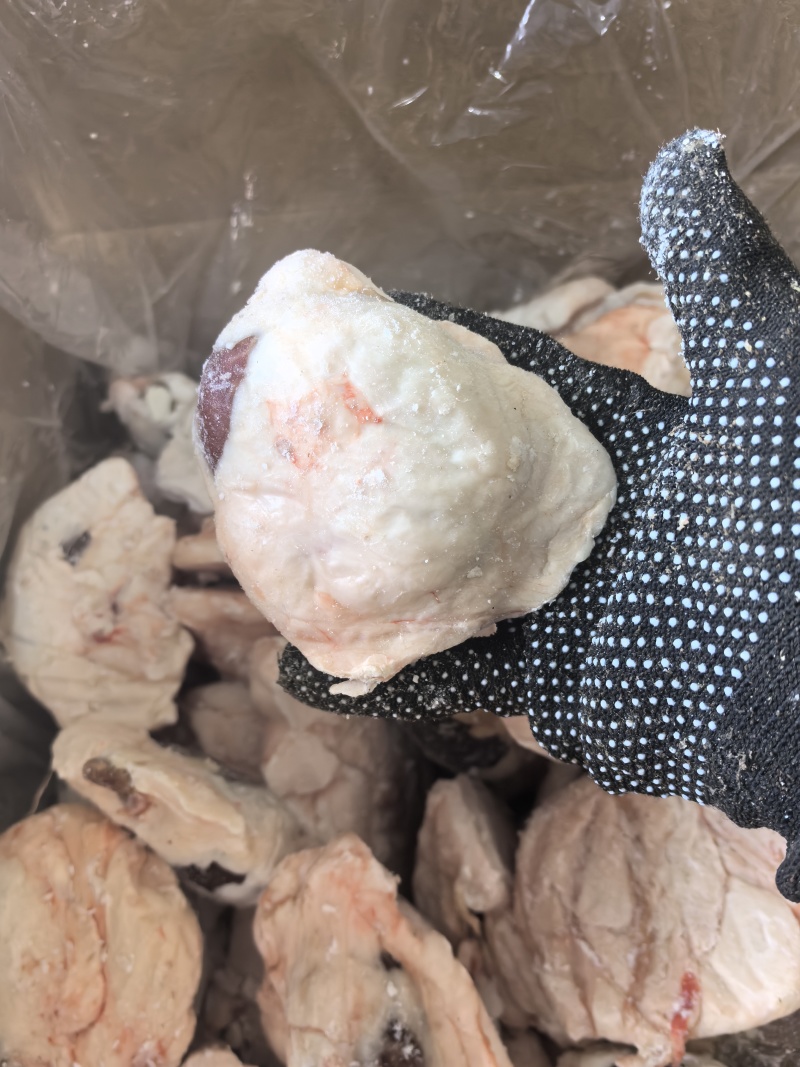 原油羊腰子，品质稳定，烧烤佳品！常年稳定供应