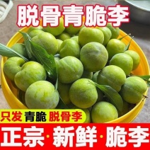 青脆李脱骨李抖音快手视频号一件代发