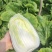 大娃娃菜