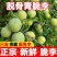 青脆李脱骨李抖音快手视频号一件代发