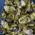 三倍体刺身生蚝乳山生蚝一件起批电商团购源头工厂