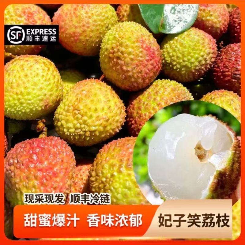 荔枝，妃子笑，一件代发，一件代发，量大优惠
