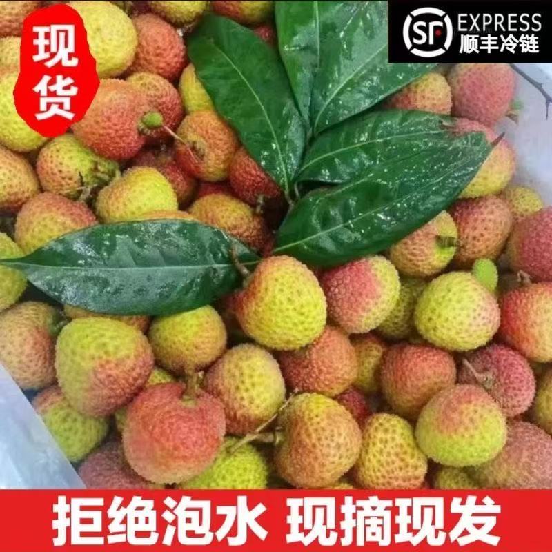 荔枝，妃子笑，一件代发，一件代发，量大优惠