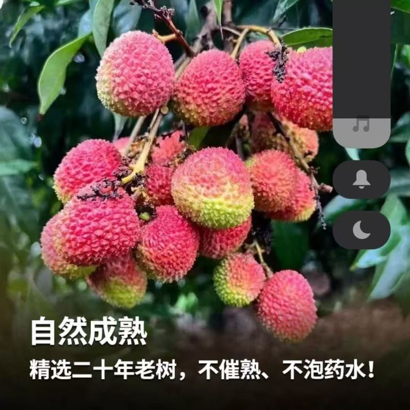 荔枝，妃子笑，一件代发，一件代发，量大优惠