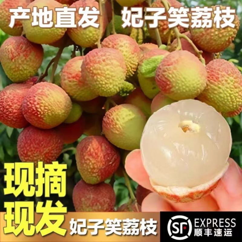荔枝，妃子笑，一件代发，一件代发，量大优惠