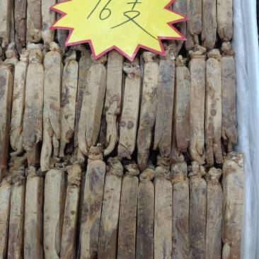黄码褂红参，多种规格，原产地发货，大量供货