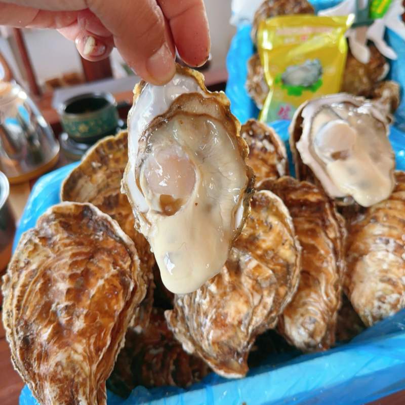 乳山生蚝刺身生蚝高压锅生蚝三倍体电商社区团购专用