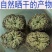 卷柏中药材九死还魂草小卷柏还魂草长生草新货多规格