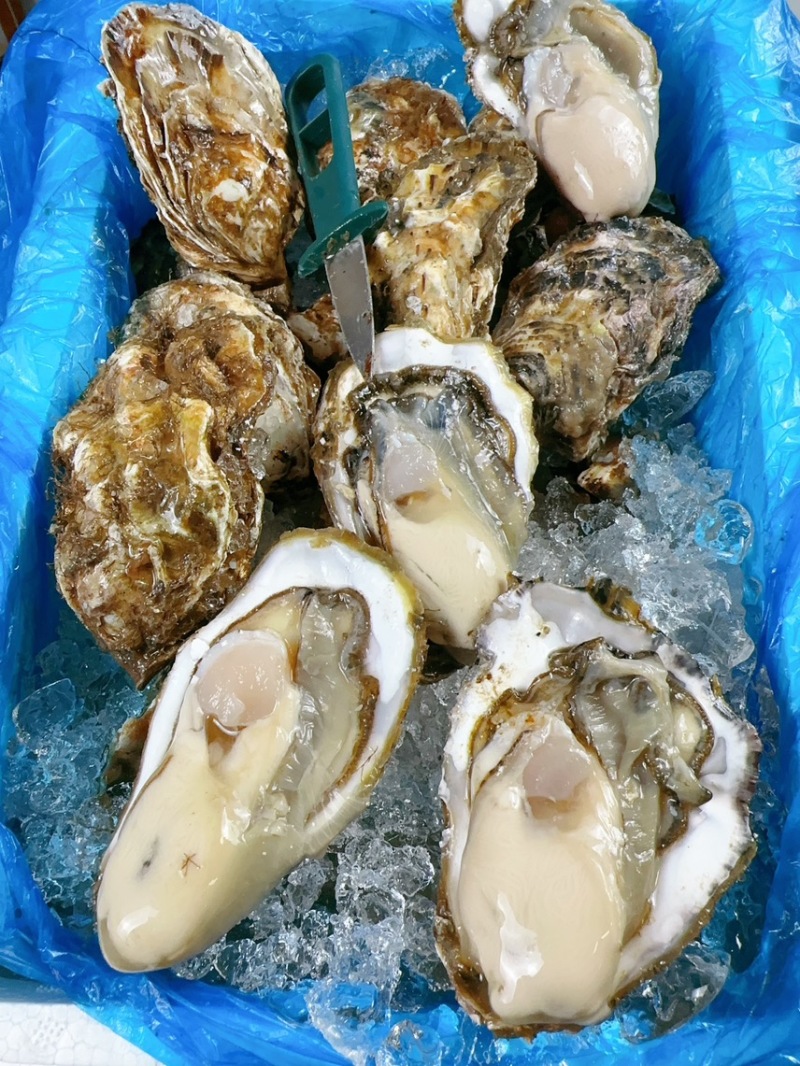 乳山生蚝刺身生蚝高压锅生蚝三倍体电商社区团购专用