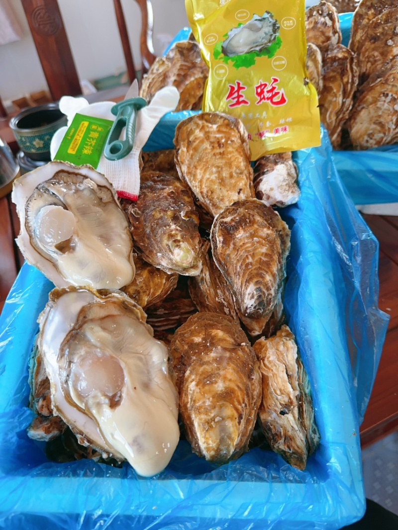 乳山生蚝刺身生蚝高压锅生蚝三倍体电商社区团购专用