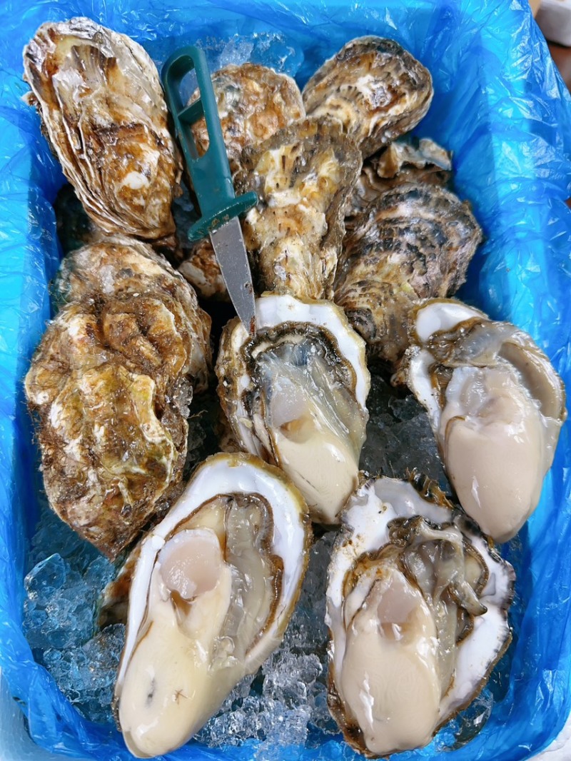 乳山生蚝刺身生蚝高压锅生蚝三倍体电商社区团购专用