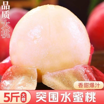 湖北屈家岭农场突围水蜜桃毛桃上市，提供一件代发，大货走车