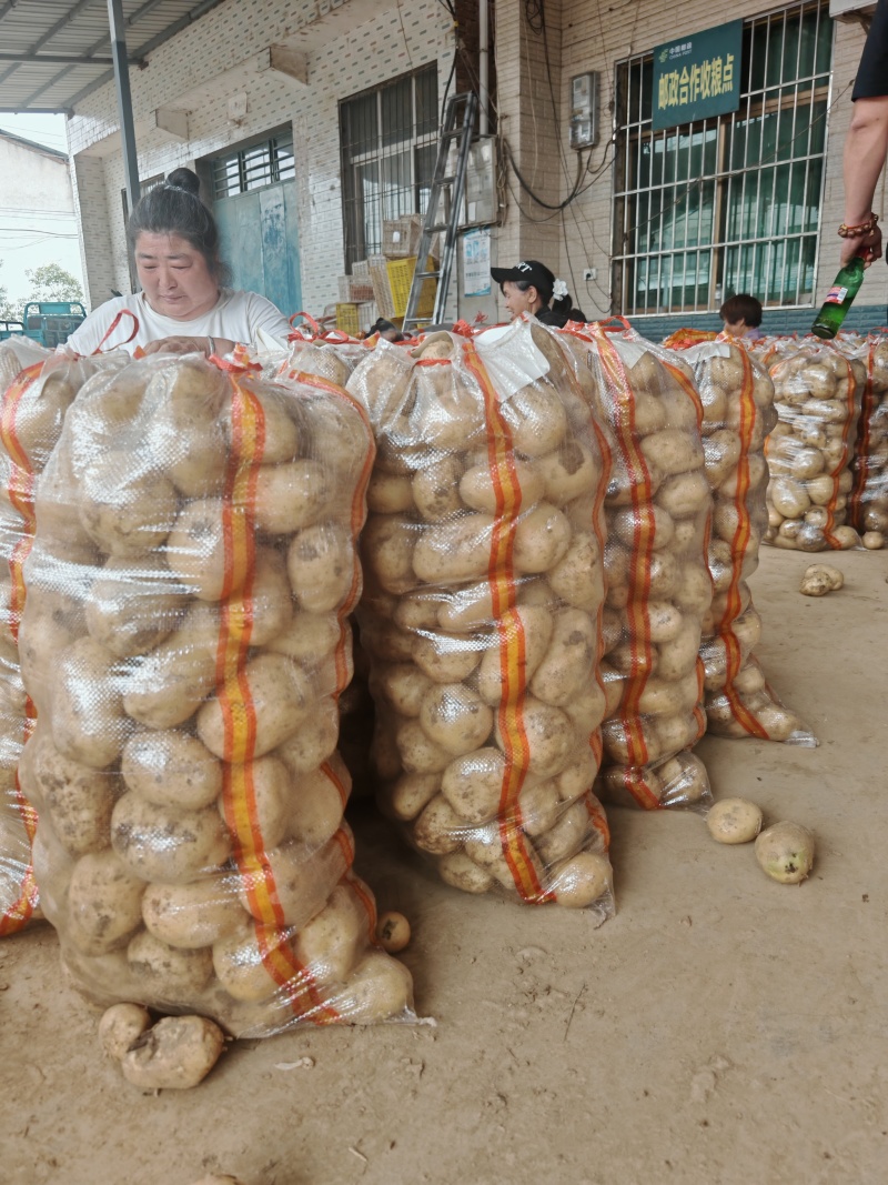 湖北襄阳沃土大量接单中，电商，超市，市场，供应链