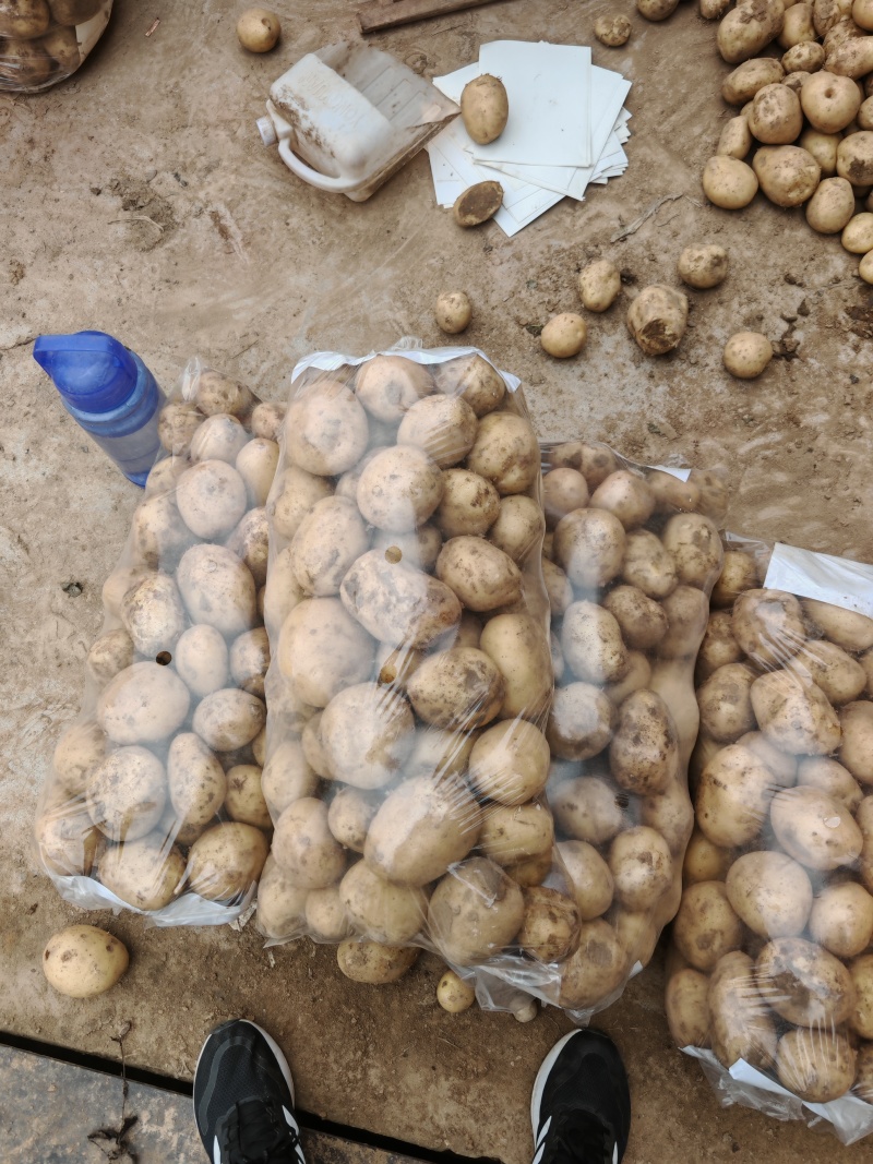 湖北襄阳沃土大量接单中，电商，超市，市场，供应链