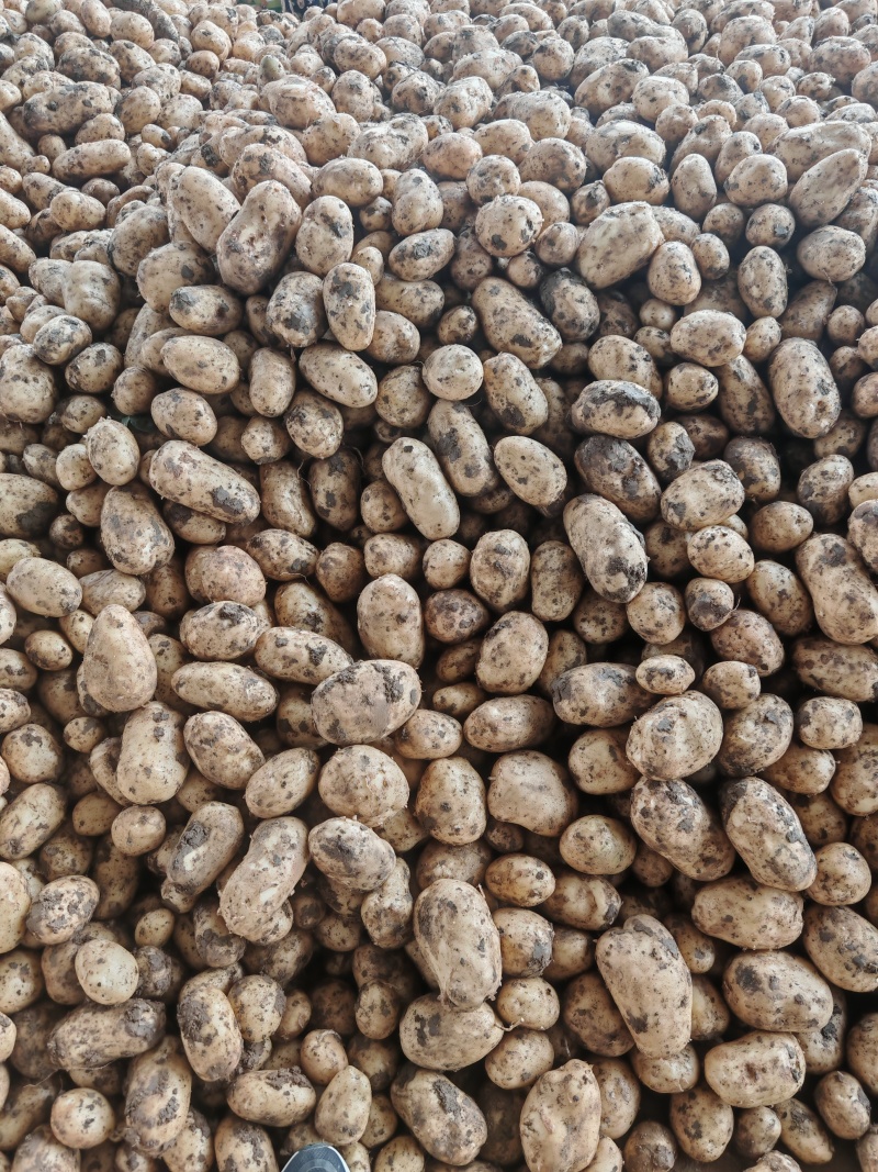 湖北襄阳沃土大量接单中，电商，超市，市场，供应链
