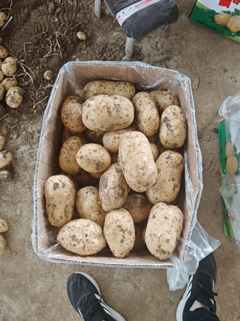 湖北襄阳沃土大量接单中，电商，超市，市场，供应链