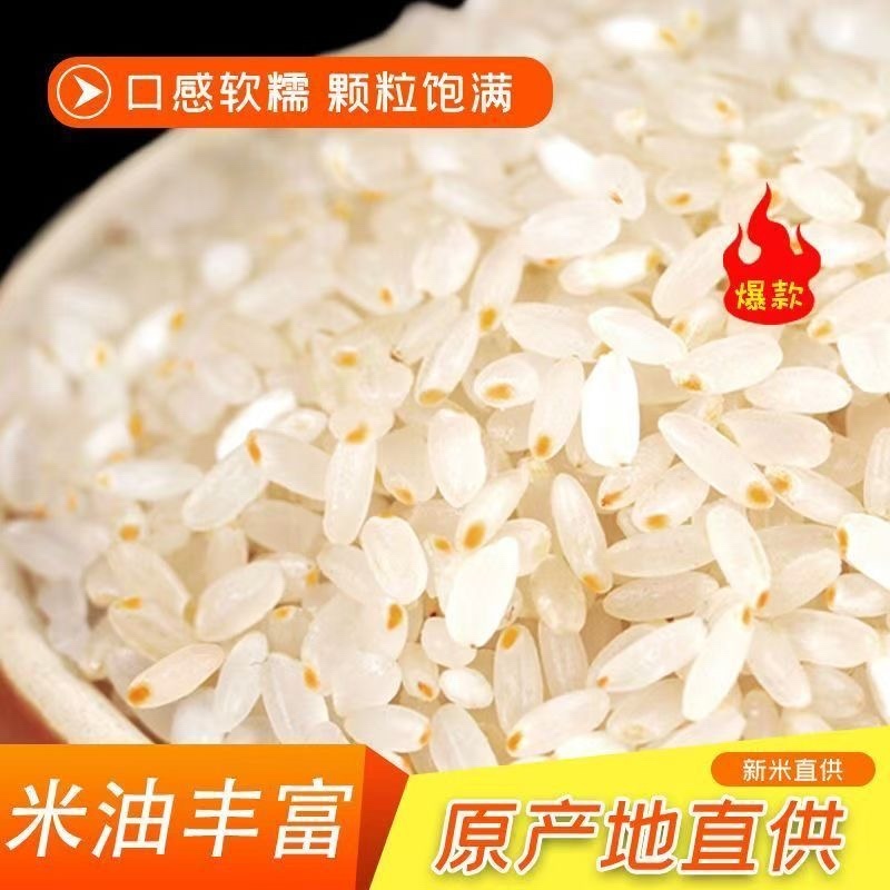大米