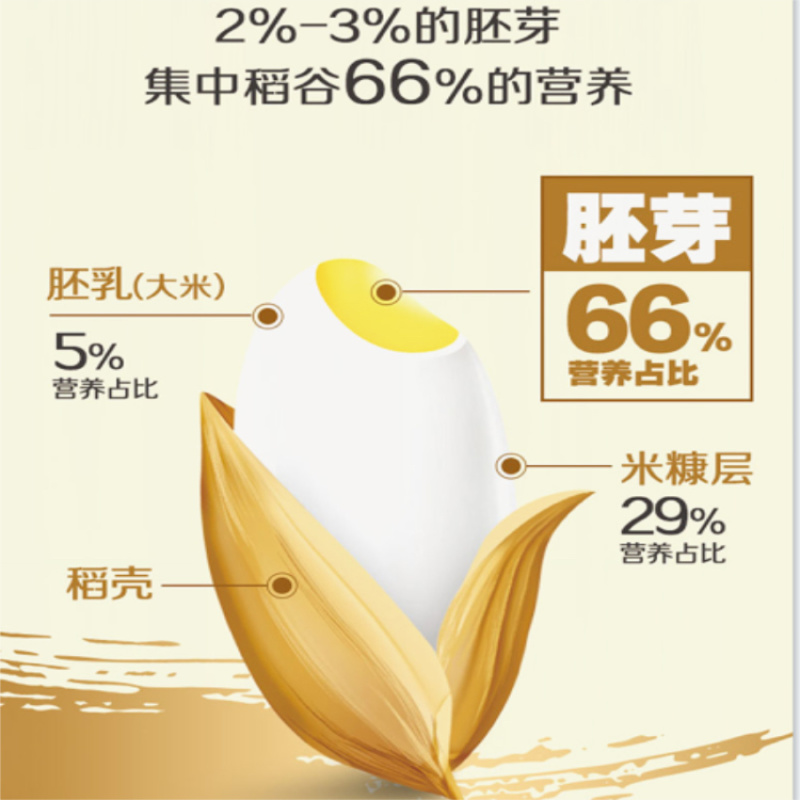 大米