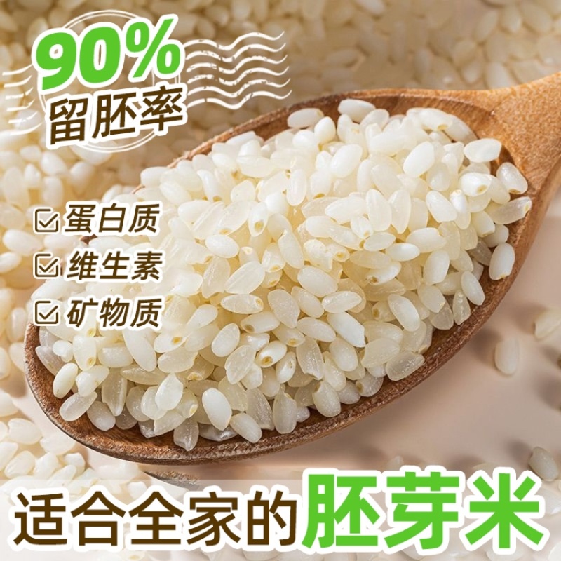 大米