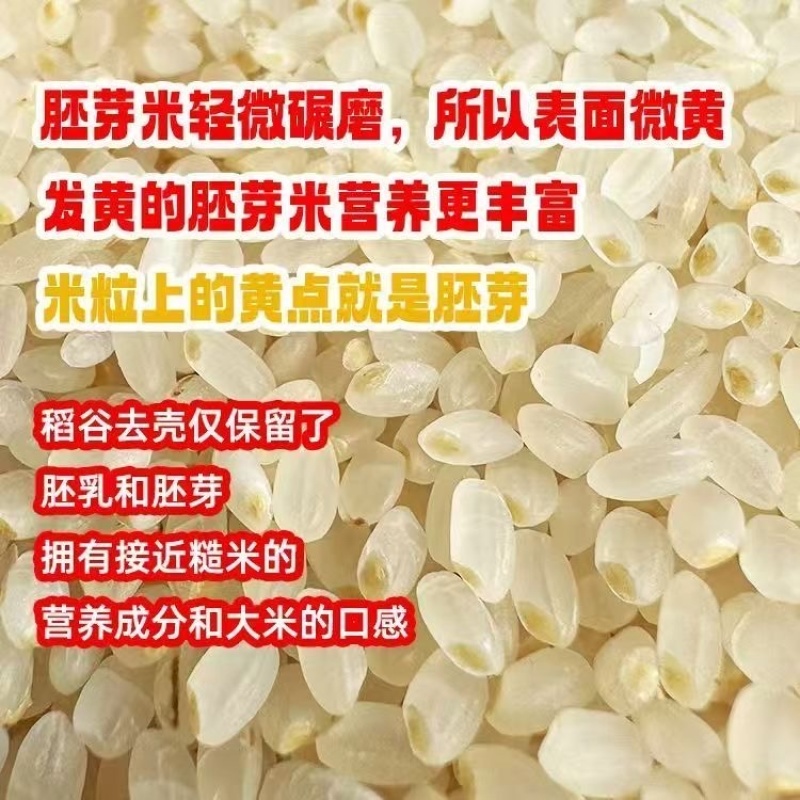 大米