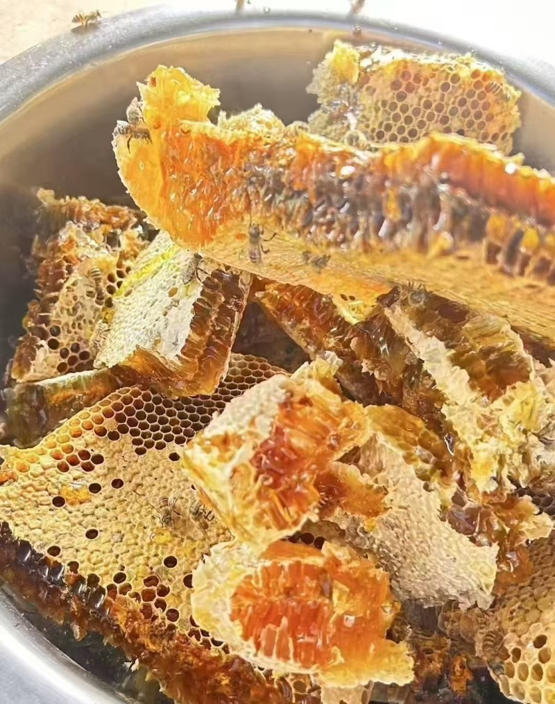 土蜜蜂