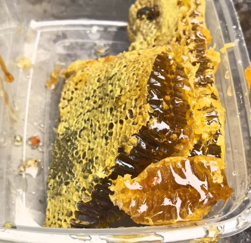 土蜜蜂