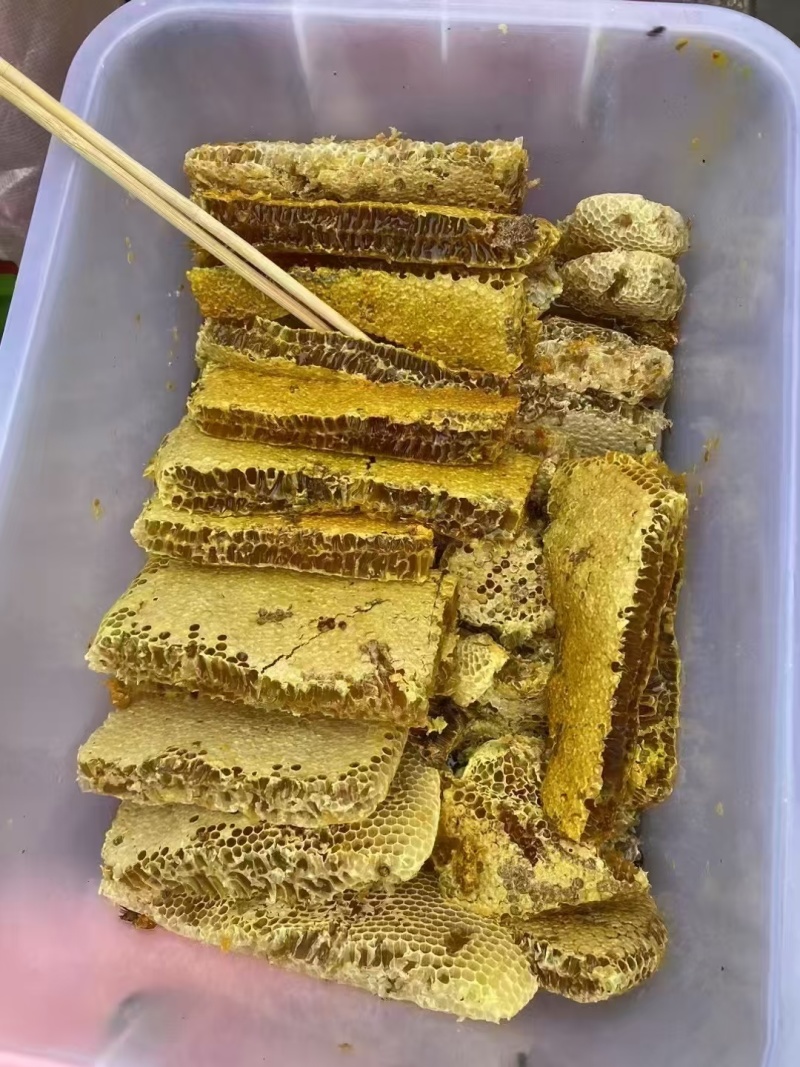 土蜜蜂