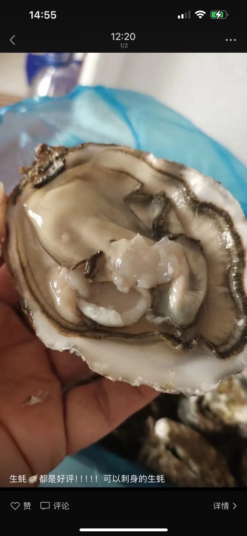 精品大连生蚝刺身生蚝三倍体牡蛎一件起批全国发货