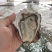 精品大连生蚝刺身生蚝三倍体牡蛎一件起批全国发货