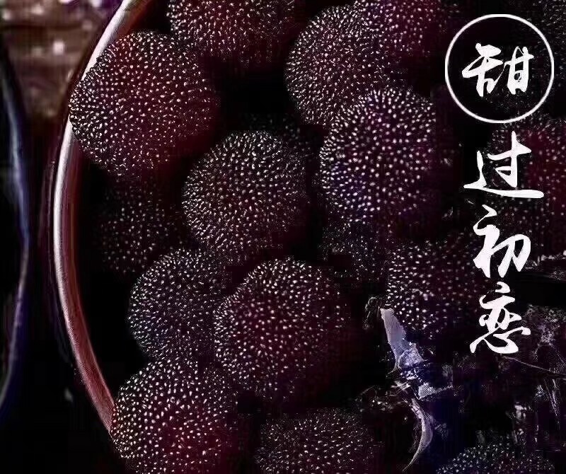 苏州东山杨梅
