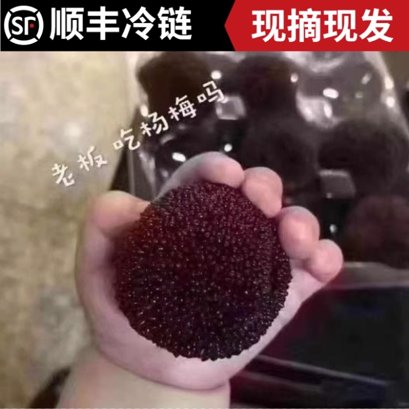 苏州东山杨梅