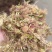 合欢花茶夜合欢花