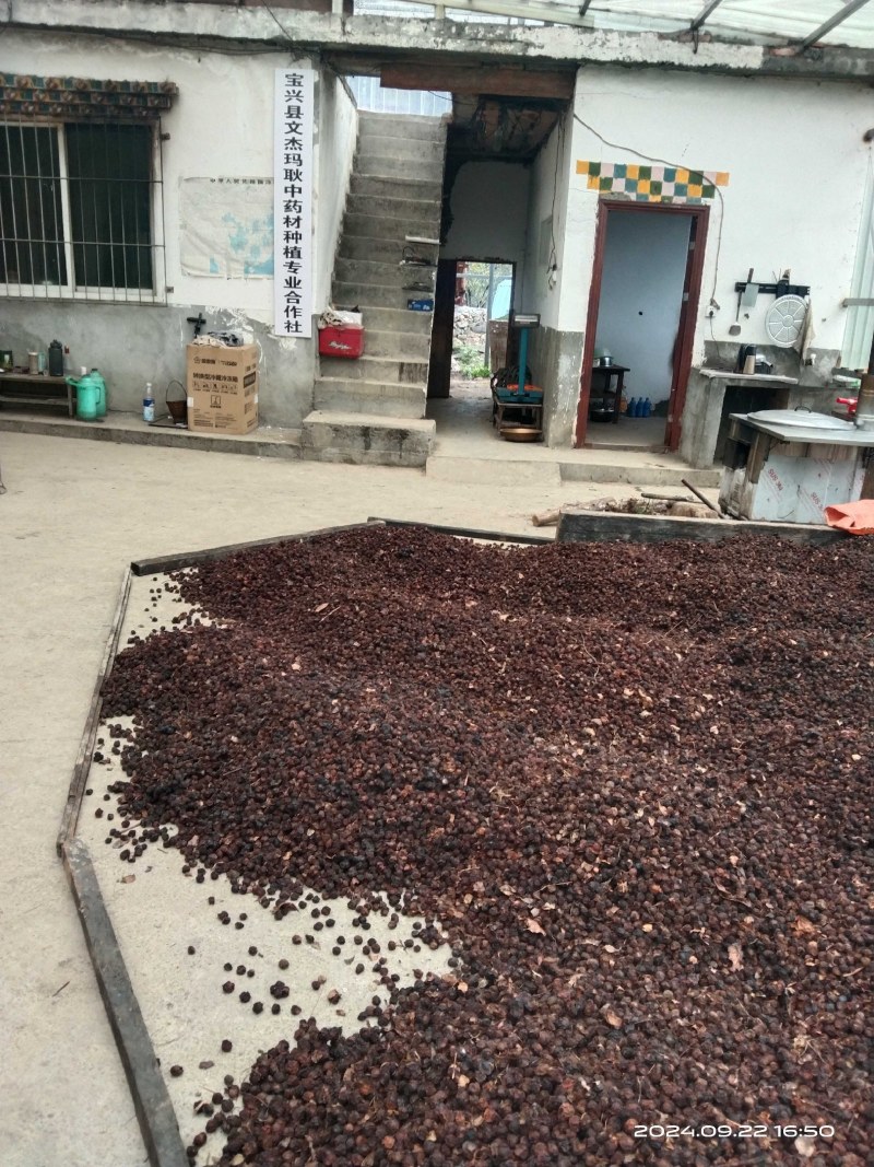 精品乌梅干:产地直销，量大从优，欢迎选购