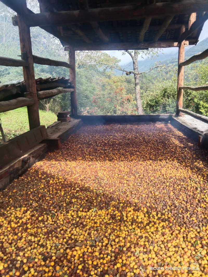 精品乌梅干:产地直销，量大从优，欢迎选购