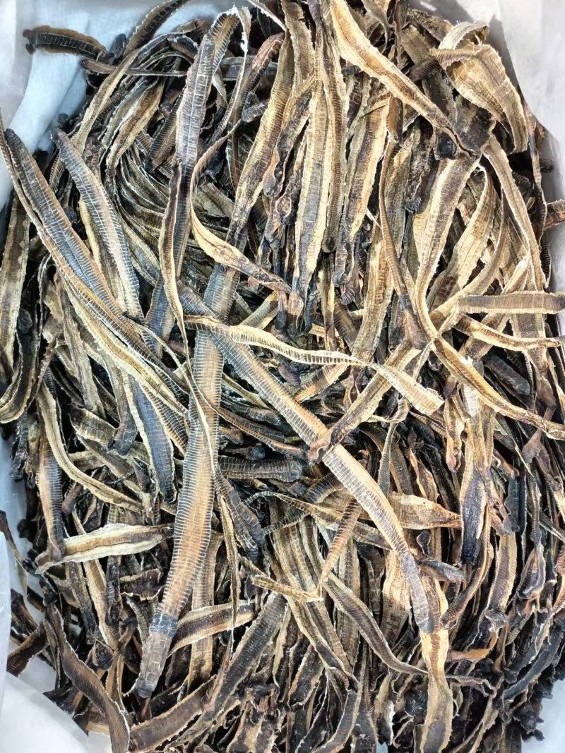 地龙中药材原料批发欢迎留言订购批发地龙我们批发中药材原料