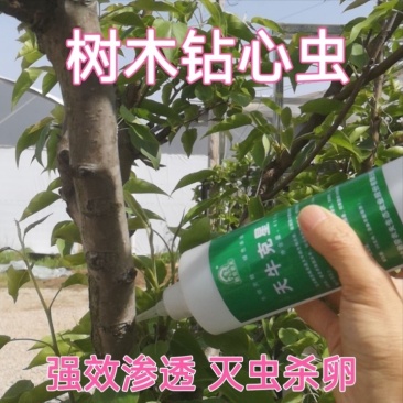 天牛克星钻心虫干虫昆虫病原水剂450ml生物杀虫不伤树