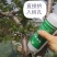 天牛克星钻心虫干虫昆虫病原水剂450ml生物杀虫不伤树