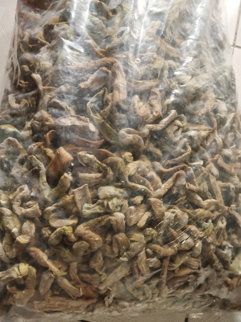 雷笋干