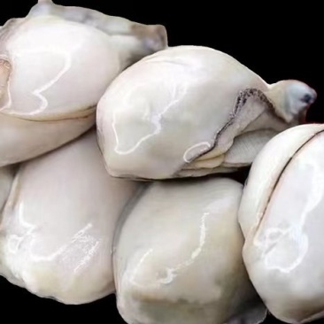 6量生蚝，新鲜饱满，保质保量