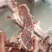 肋眼骨，白油肋眼骨，黄膘肋眼骨。规格齐全，肉多价格低！！