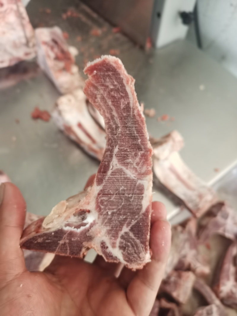 肋眼骨，白油肋眼骨，黄膘肋眼骨。规格齐全，肉多价格低！！