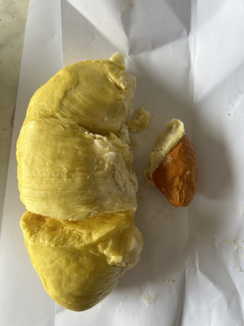 金枕榴莲现货供应，长年供应