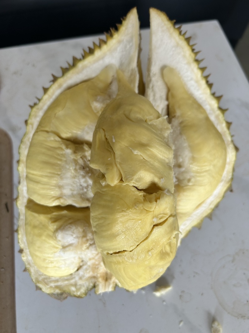 金枕榴莲现货供应，长年供应