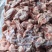 一九精碎肉一柜新开检疫